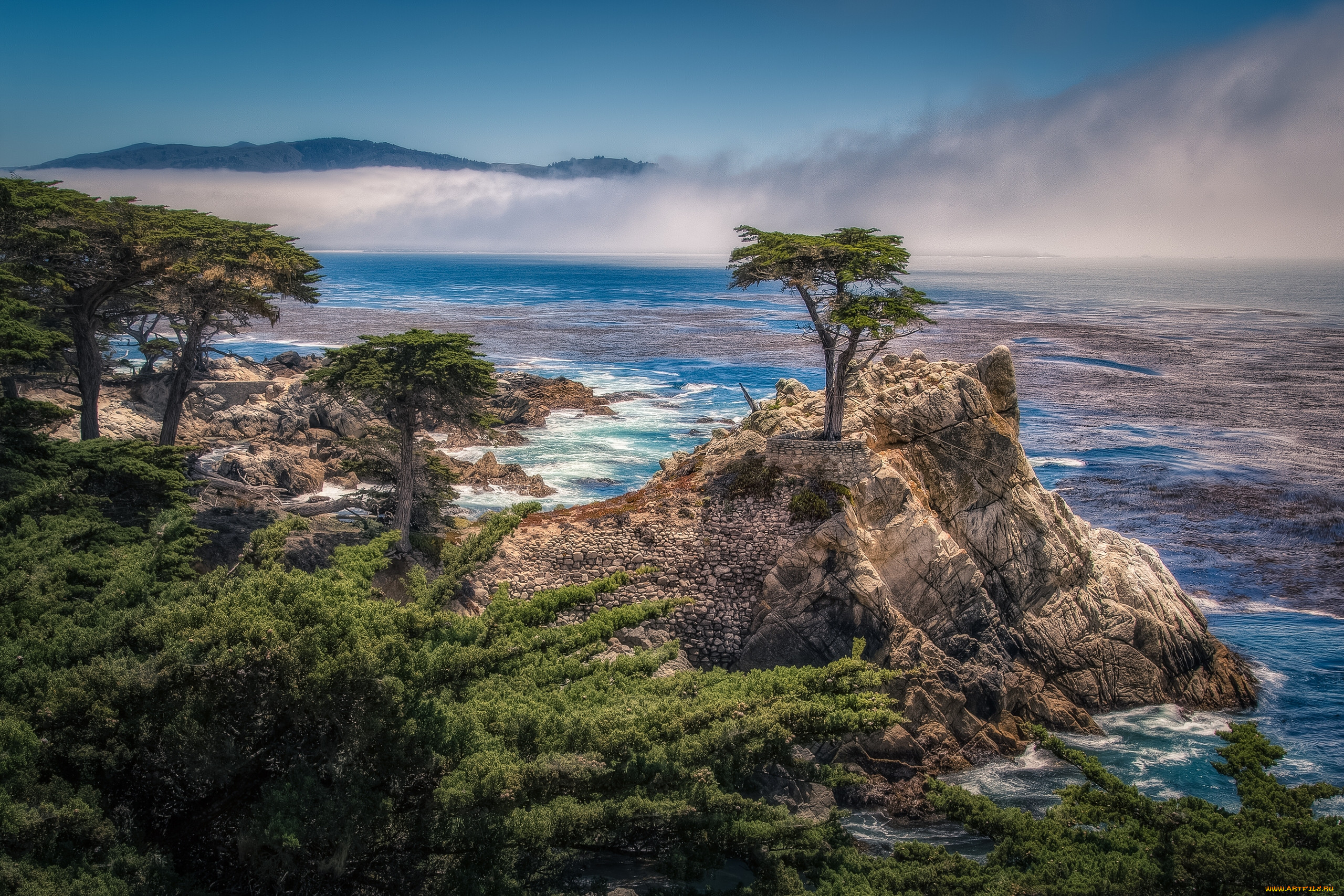 pebble, beach, california, , , the, lone, cypress, carmel, bay, , , , , , 